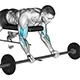 Lying preacher curl with barbell