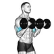 Bicep curl with dumbbells