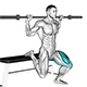 Bulgarian split squat with barbell
