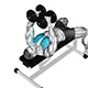 Chest fly with dumbbells on flat bench