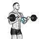 Bicep curl with EZ bar