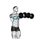 Front raise with dumbbells