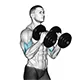 Hammer curl with dumbbells