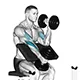 Hammer grip preacher curl with dumbbells (alternating)
