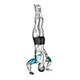Handstand push up