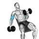 Bicep curl with dumbbells alternating (inclined)