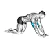 Kneeling bodyweight triceps extension