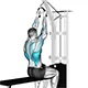 Lat pull down (close grip)