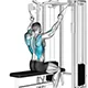 Lat pull down with double cable (neutral grip)