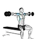 Lateral raise with dumbbells (seated)