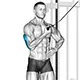 Side triceps push down with one arm and cable 