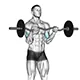 Bicep curl with EZ bar and reverse grip