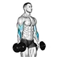 Bicep curl with dumbbells and reverse grip