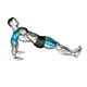 Reverse plank