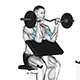 Preacher curl with EZ bar and reverse grip