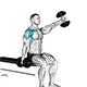 Seated alternating front raise with dumbbells (hammer grip)