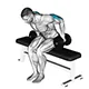 Kickback with dumbbells (seated)