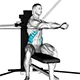 Seated cable twist
