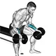 Wrist curl with palms up and one dumbbell (seated)