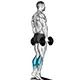Standing calf raise with dumbbells