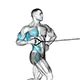 Standing twisting cable row