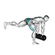 Deadlift with one leg and dumbbells