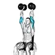 Triceps extensions with dumbbells (seated)