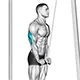 Triceps push down with cable and v-bar