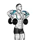Shoulder raise with dumbbells