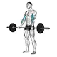 Bicep curl with barbell (regular grip)