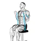 Bicep curl with band (seated)
