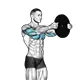 Shoulder press with plate standing