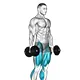Plyometric jump squat with dumbbells