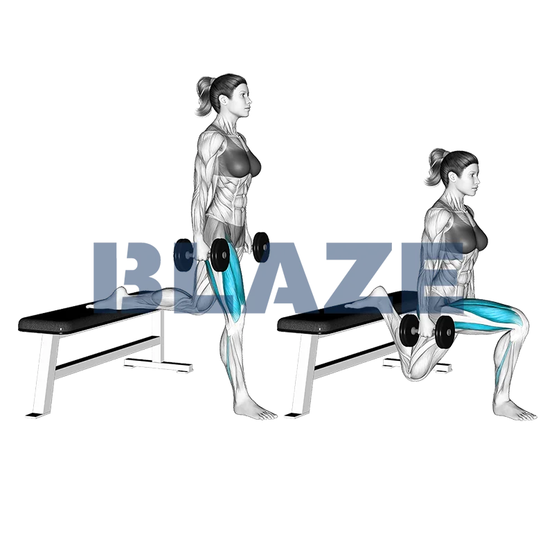 Bulgarian split squat with dumbbells