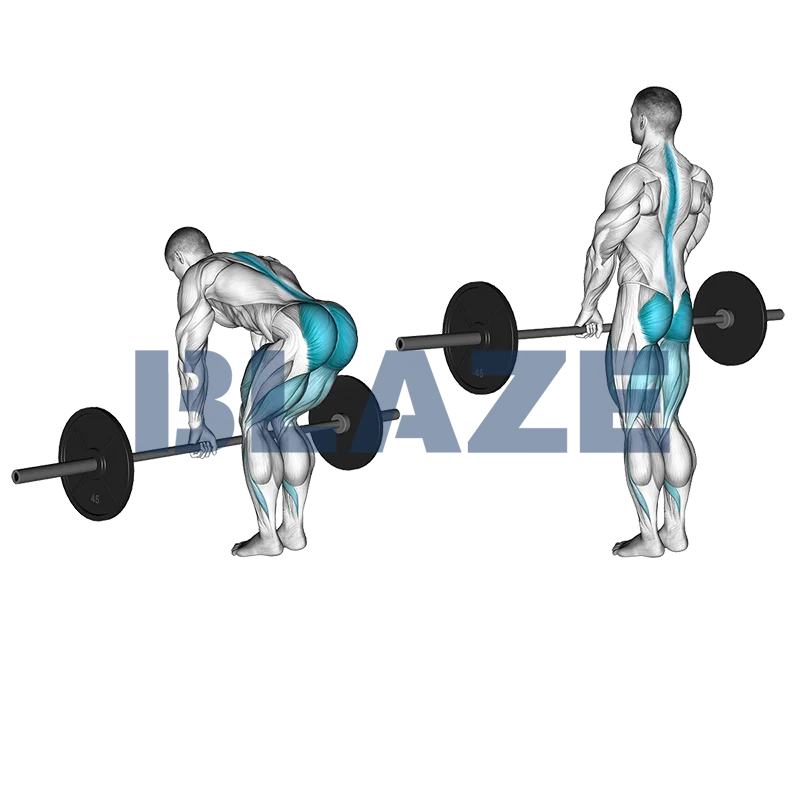 Romanian deadlift with barbell