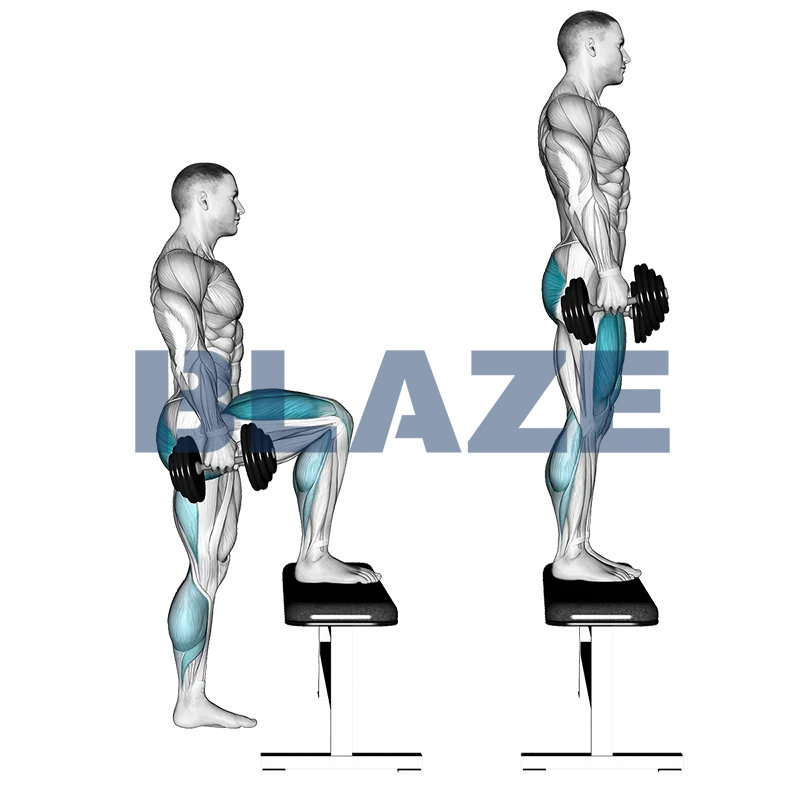 Step up with dumbbells