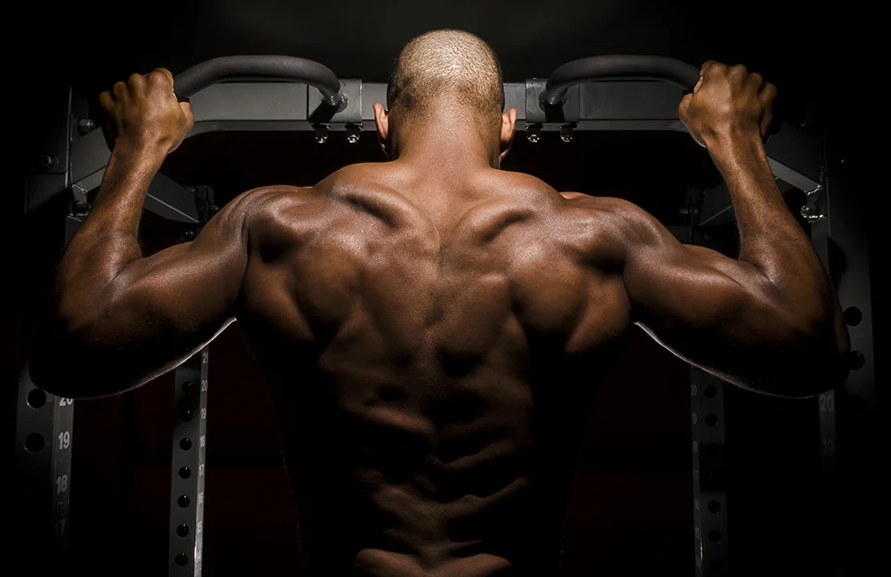 Push Pull Legs Three Day Split