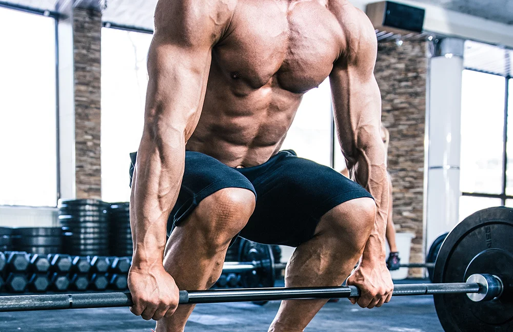 Full Body Workout Three Day Split